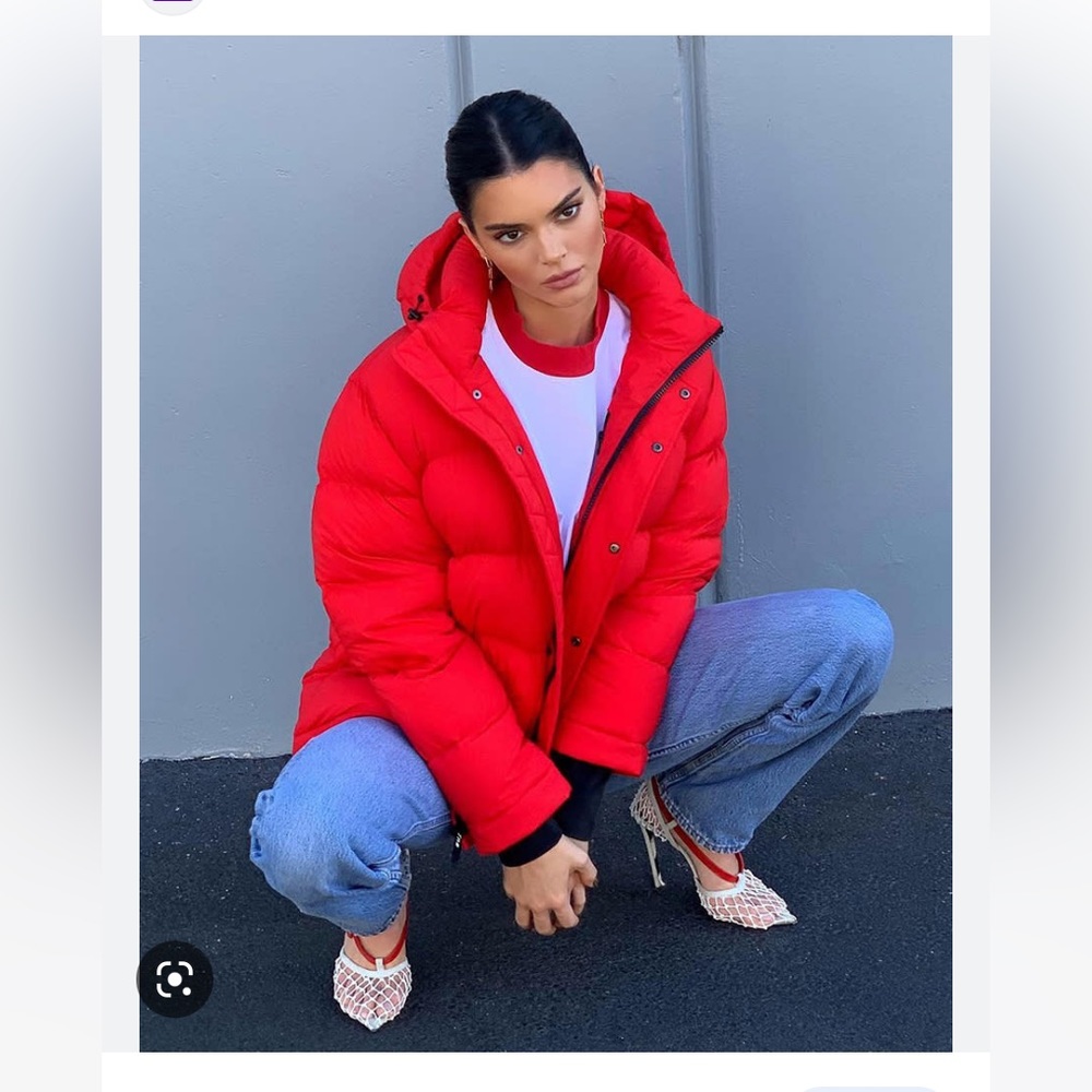 Aritzia Super Puff